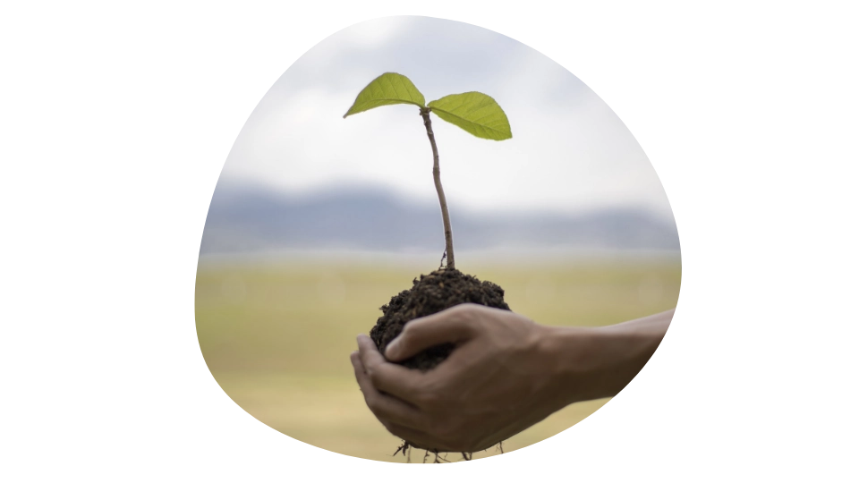 Čistilna naprava Merkelj